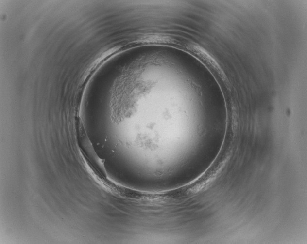 X0000061741041200512091605