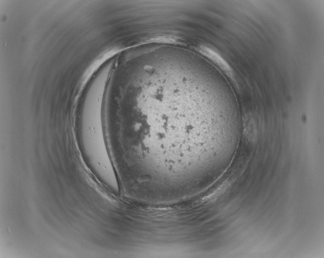 X0000061741043200512091605