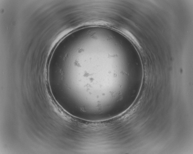 X0000061741044200512091605