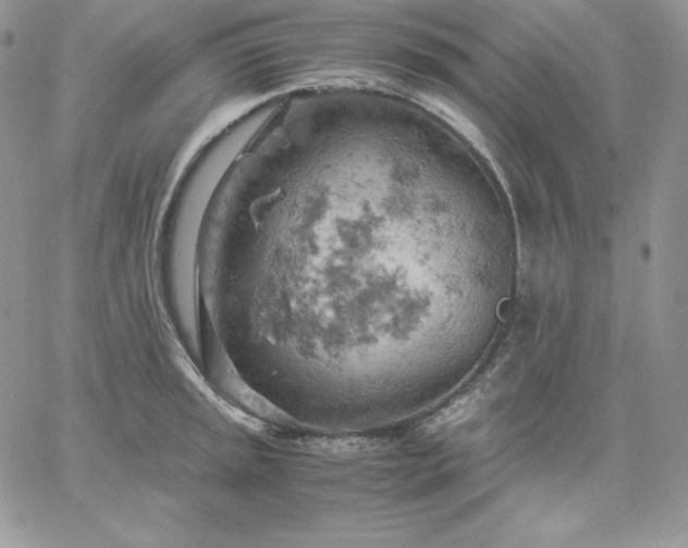 X0000061741045200512091605