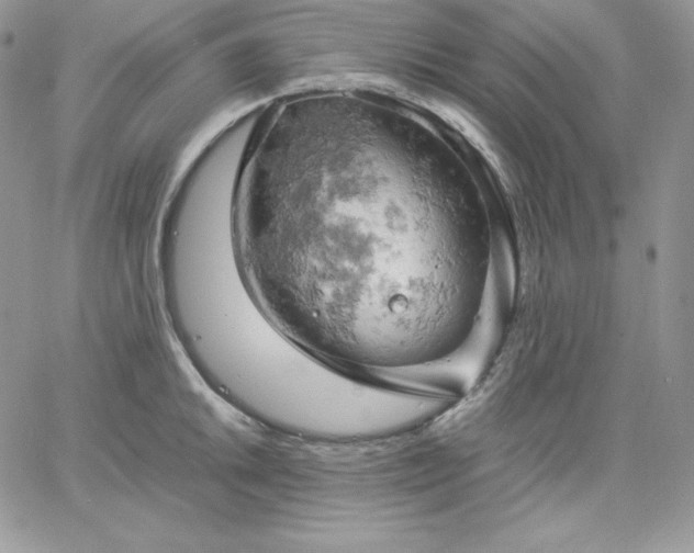 X0000061741046200512091605