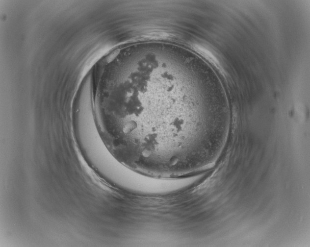 X0000061741047200512091605