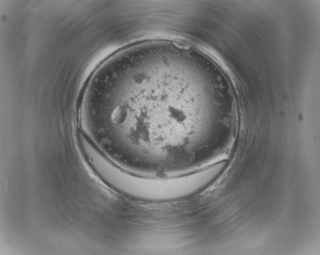 X0000061741048200512091605