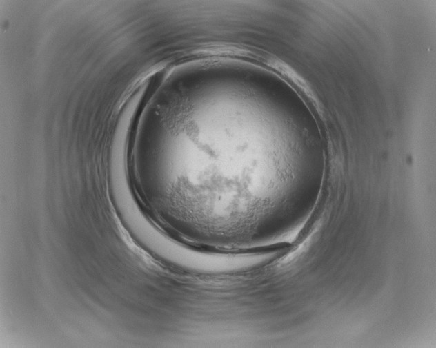 X0000061741049200512091605