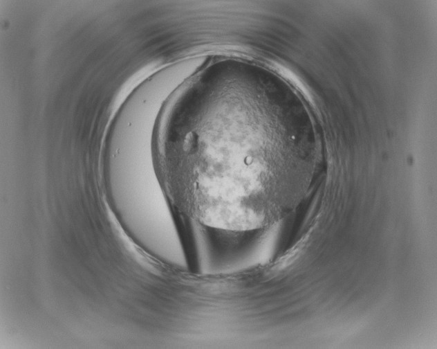 X0000061741050200512091605