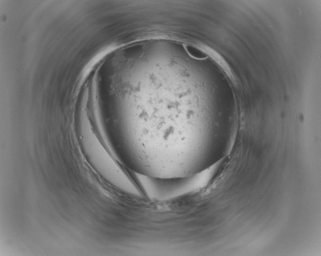 X0000061741051200512091605