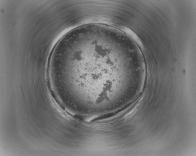 X0000061741052200512091605