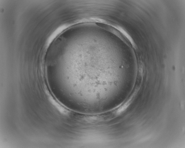 X0000061741054200512091605