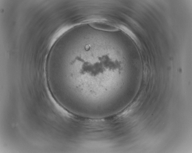 X0000061741055200512091605