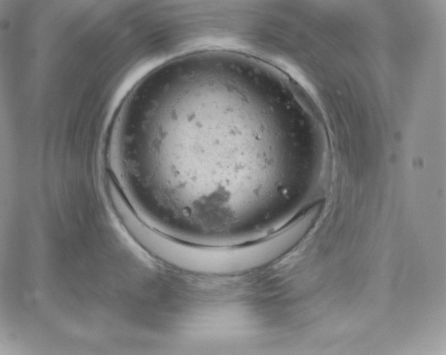 X0000061741056200512091605