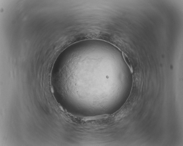 X0000061741057200512091605