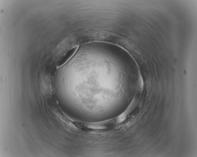 X0000061741058200512091605