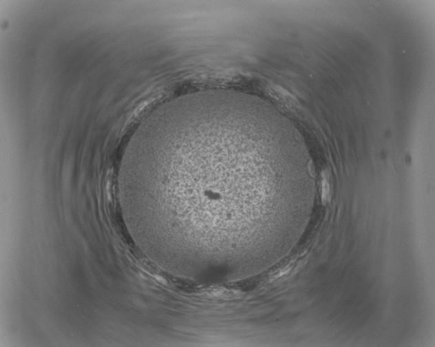 X0000061741059200512091605