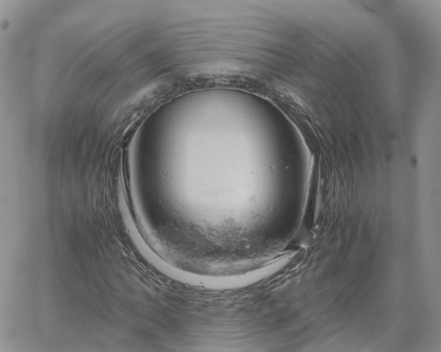 X0000061741062200512091605