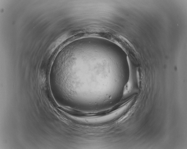 X0000061741065200512091605