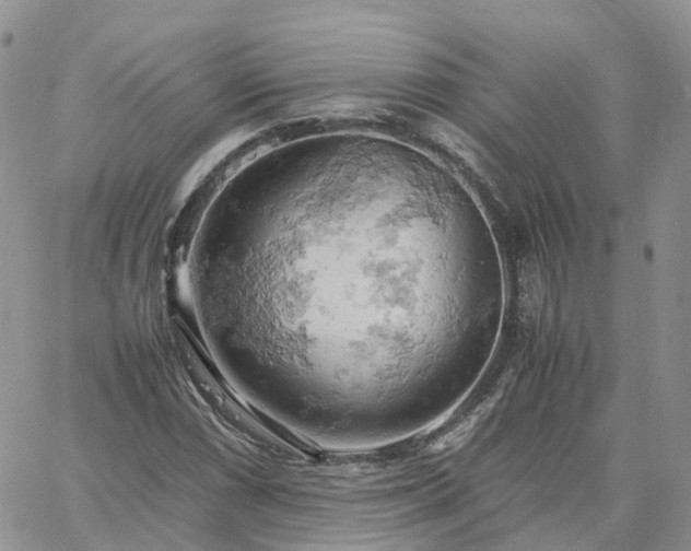 X0000061741066200512091605