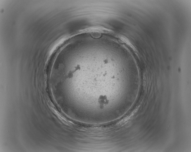 X0000061741067200512091604