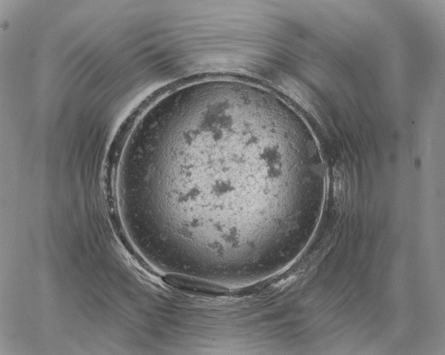 X0000061741068200512091604