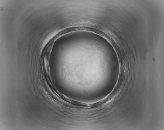 X0000061741069200512091604