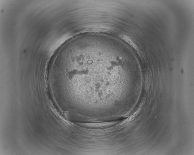 X0000061741071200512091604