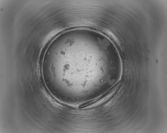 X0000061741072200512091604