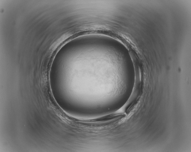 X0000061741073200512091604