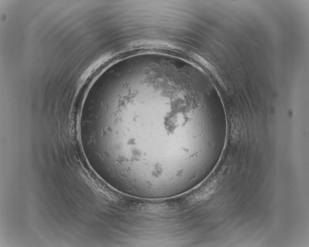 X0000061741074200512091604