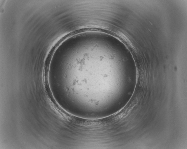 X0000061741076200512091604