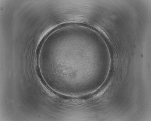 X0000061741077200512091604