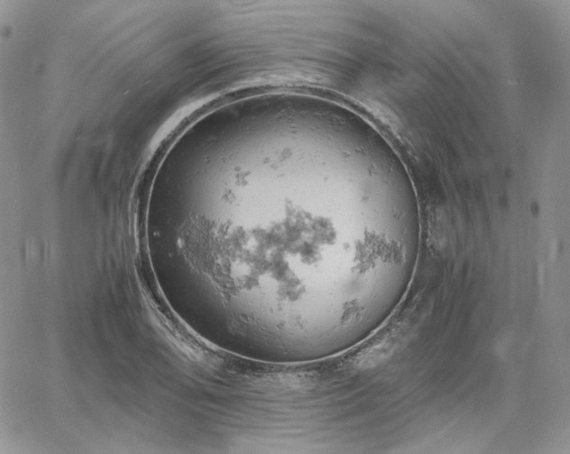 X0000061741078200512091604