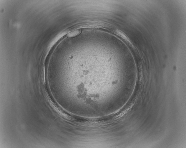 X0000061741079200512091604