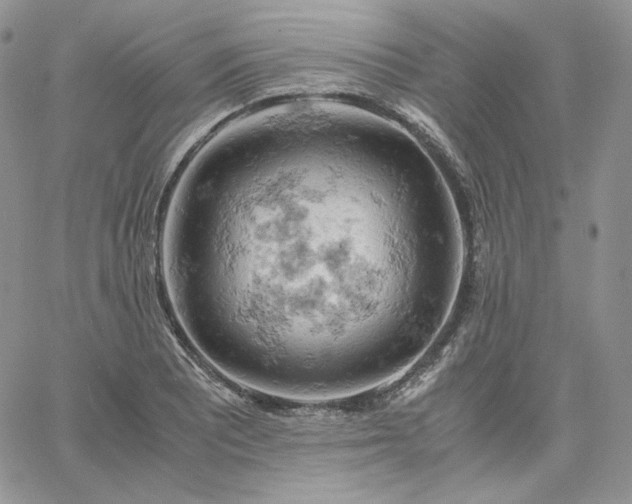 X0000061741081200512091604