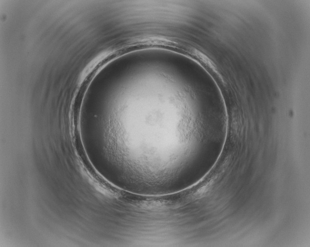 X0000061741082200512091604