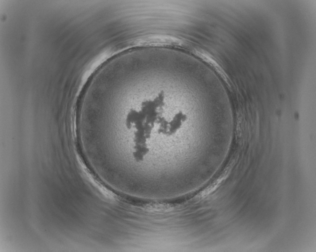 X0000061741083200512091604