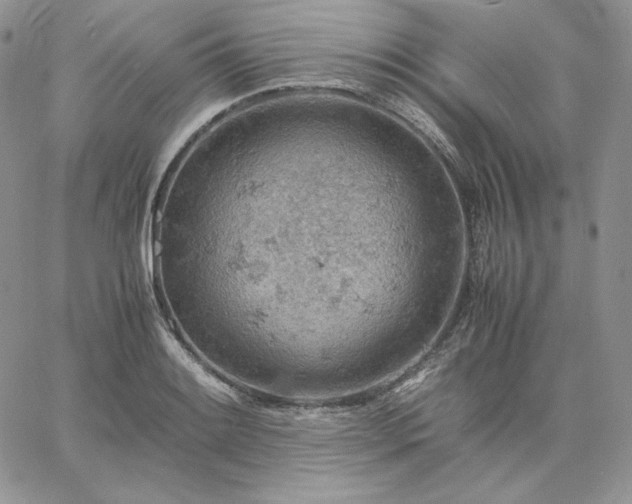 X0000061741084200512091604