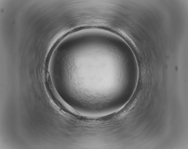 X0000061741085200512091604