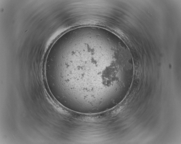 X0000061741086200512091604