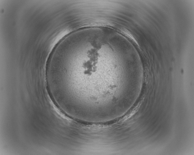 X0000061741087200512091604