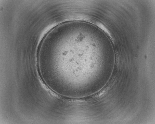 X0000061741088200512091604