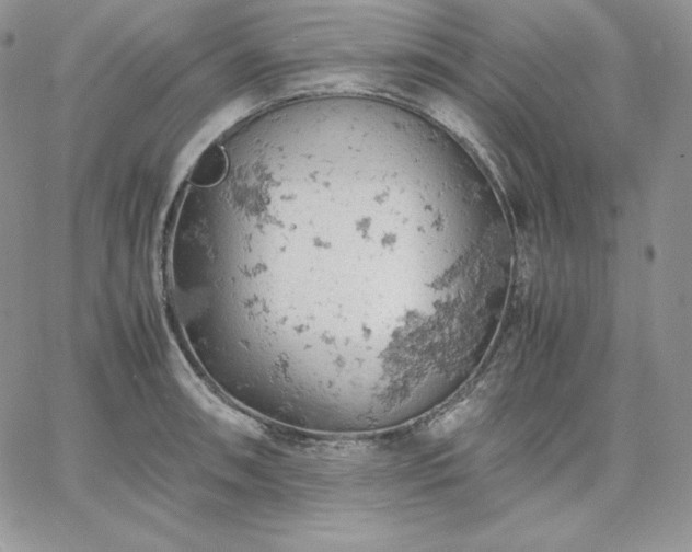 X0000061741090200512091604