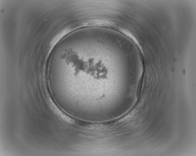 X0000061741091200512091604