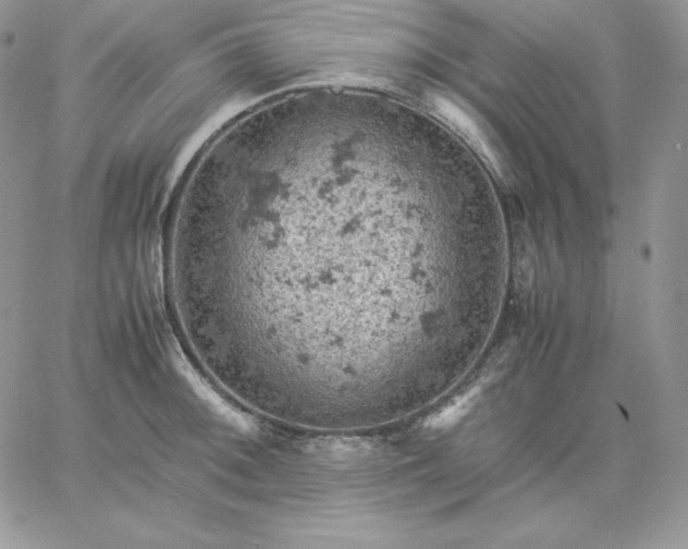 X0000061741092200512091604