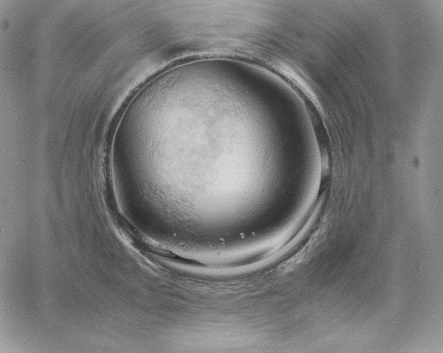 X0000061741093200512091604