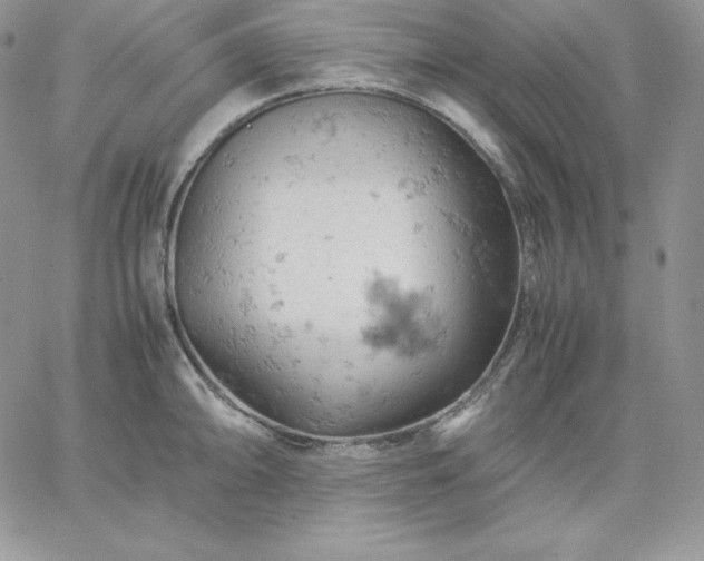 X0000061741094200512091604