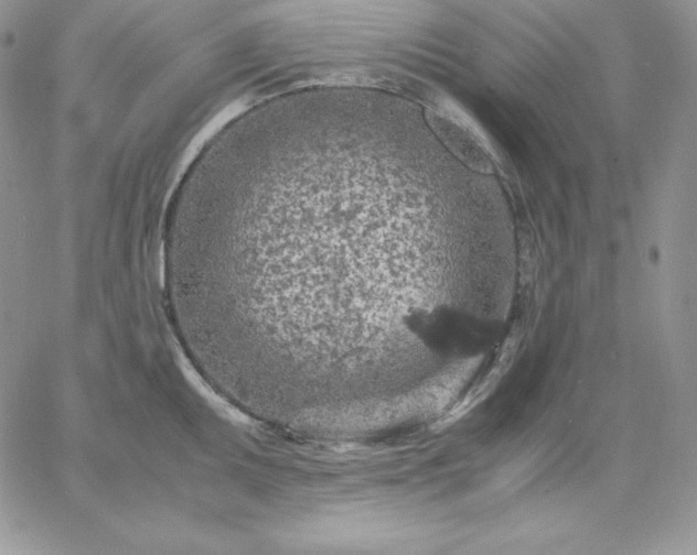 X0000061741095200512091604