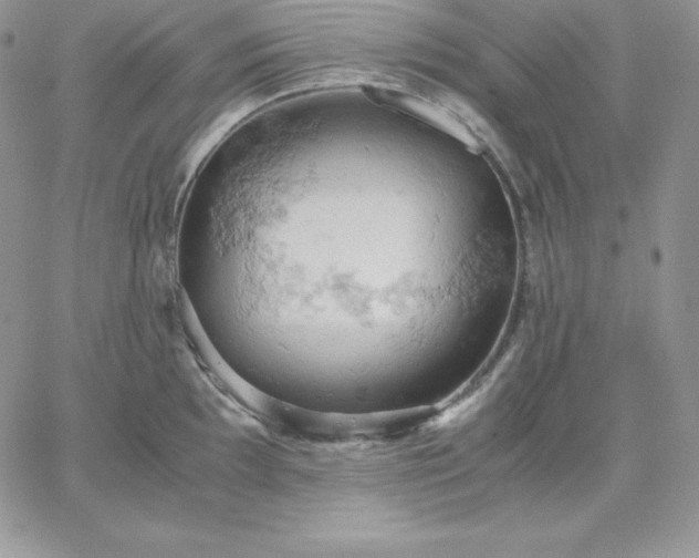 X0000061741097200512091604