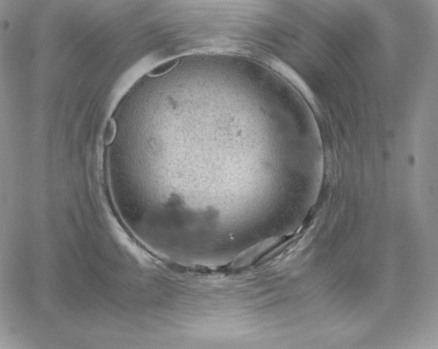 X0000061741099200512091604