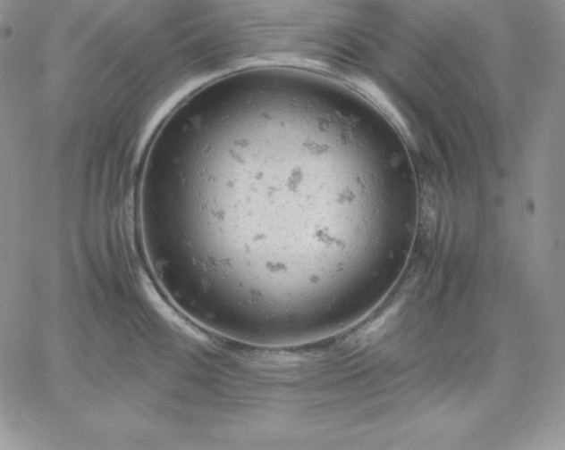 X0000061741100200512091604