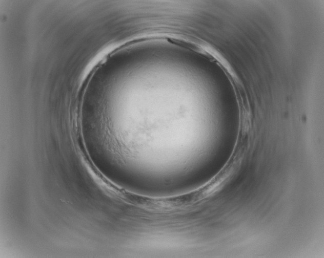 X0000061741101200512091604