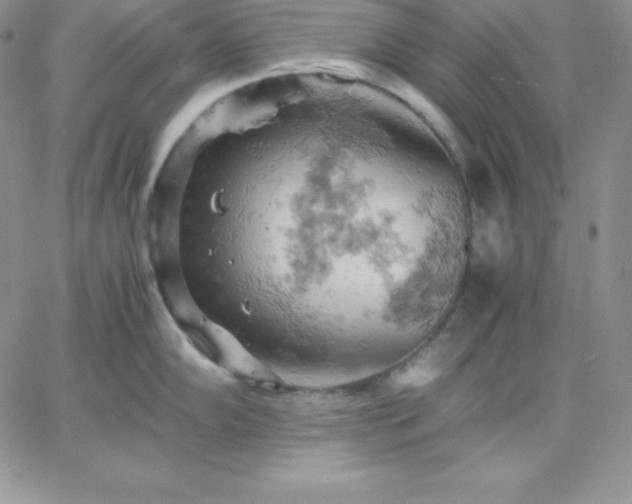 X0000061741102200512091604